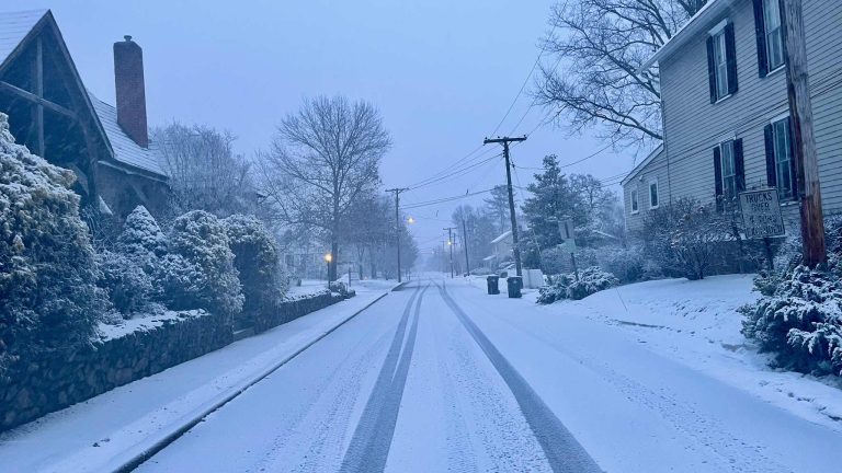 NYC Cafes Open Monday During The Blizzard | February 23, 2026